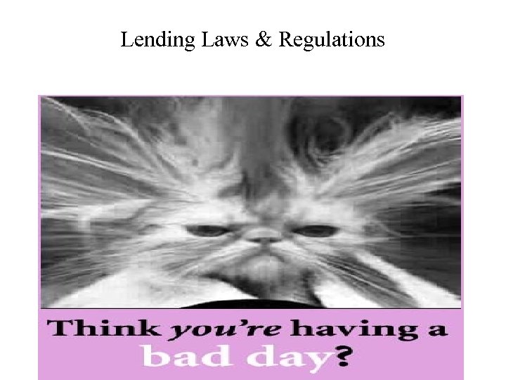 Lending Laws & Regulations 