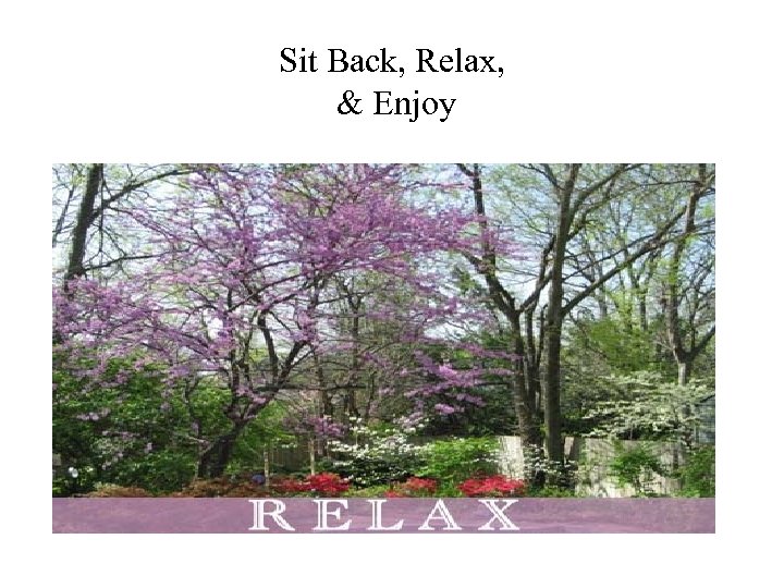 Sit Back, Relax, & Enjoy 