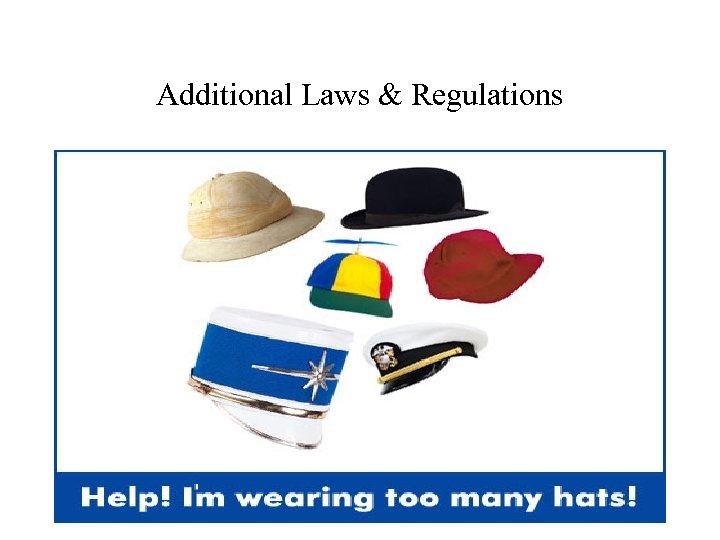 Additional Laws & Regulations 