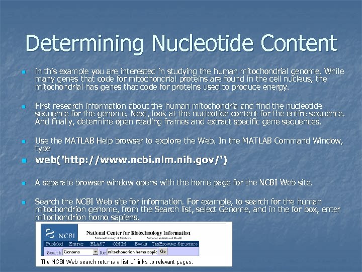Determining Nucleotide Content n n n in this example you are interested in studying