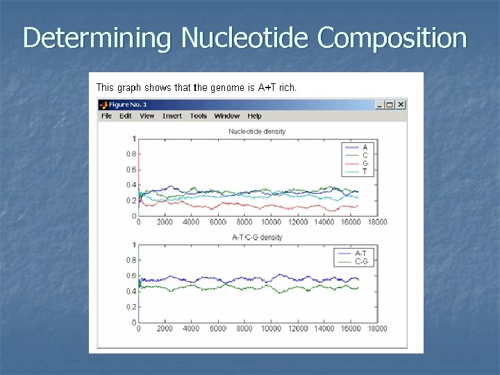 Determining Nucleotide Composition 