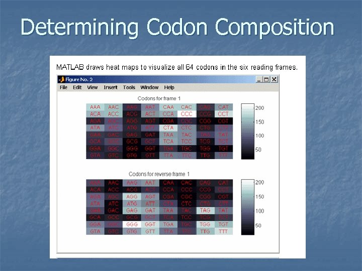Determining Codon Composition 