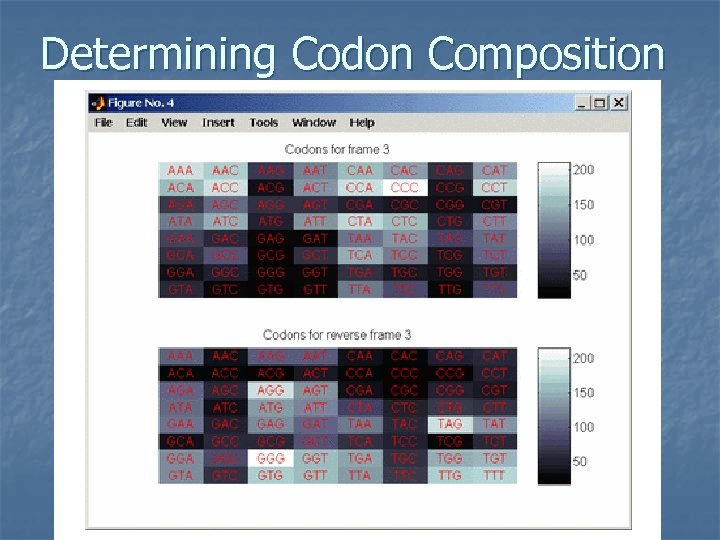 Determining Codon Composition 