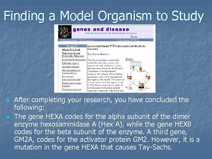 Finding a Model Organism to Study n n After completing your research, you have