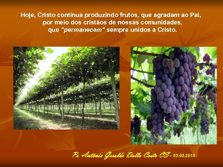 Hoje, Cristo continua produzindo frutos, que agradam ao Pai, por meio dos cristãos de