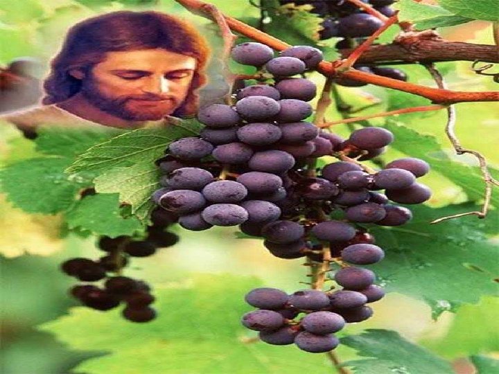 - Quantas pessoas são vistas com reservas ou desconfiança na Comunidade e não encontram