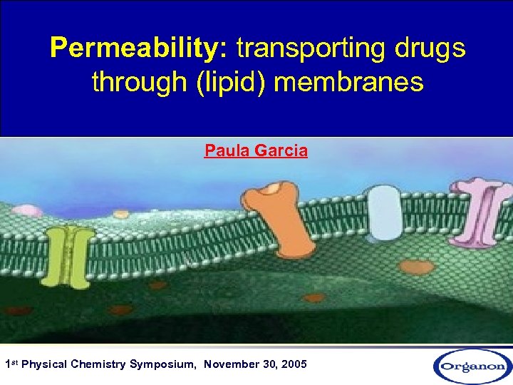 Permeability: transporting drugs through (lipid) membranes Paula Garcia 1 st Physical Chemistry Symposium, November