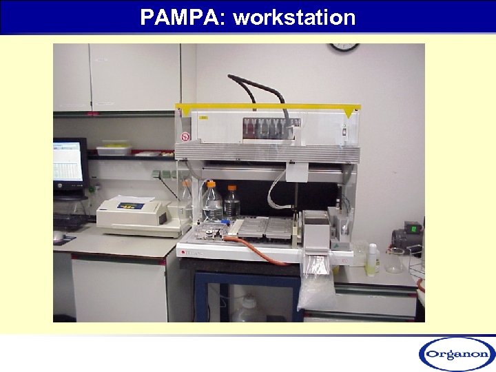 PAMPA: workstation 