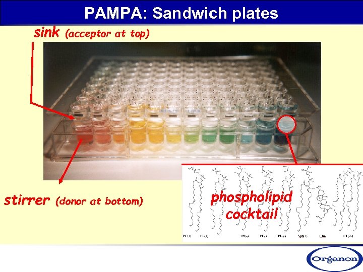 sink stirrer PAMPA: Sandwich plates (acceptor at top) (donor at bottom) phospholipid cocktail 