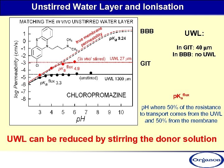 Unstirred Water Layer and Ionisation BBB UWL: In GIT: 40 mm In BBB: no