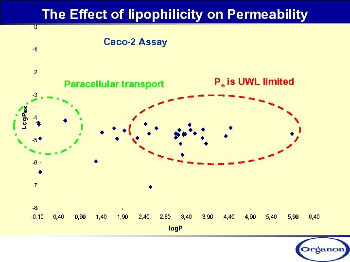 The Effect of lipophilicity on Permeability Caco-2 Assay Paracellular transport Pe is UWL limited