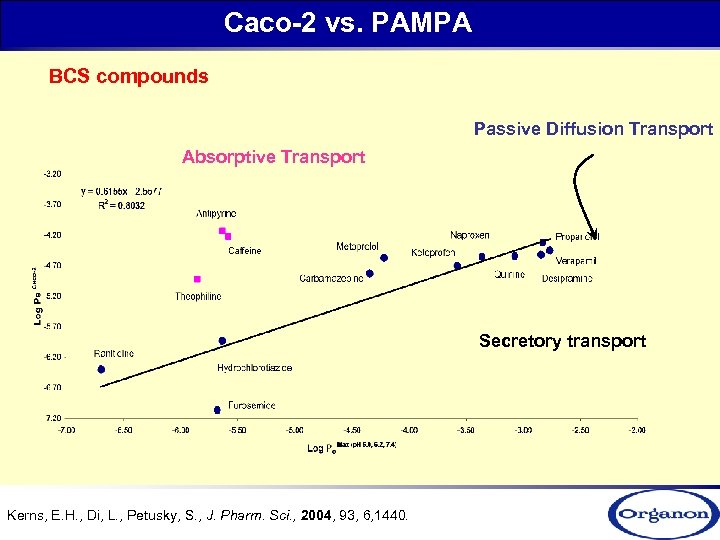 Caco-2 vs. PAMPA BCS compounds Passive Diffusion Transport Absorptive Transport Secretory transport Kerns, E.