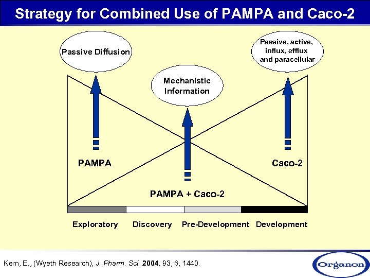 Strategy for Combined Use of PAMPA and Caco-2 Passive, active, influx, efflux and paracellular