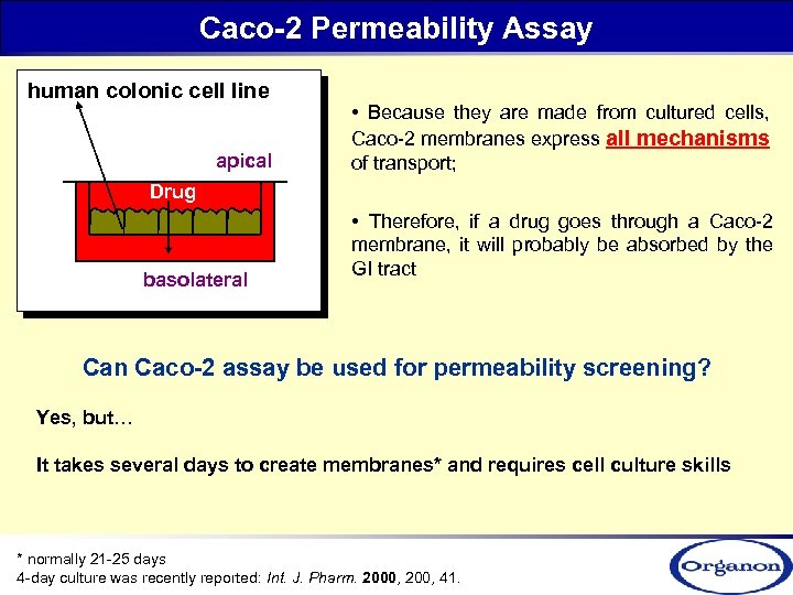 Caco-2 Permeability Assay human colonic cell line apical • Because they are made from