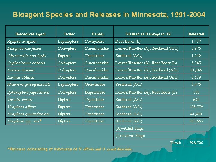 Bioagent Species and Releases in Minnesota, 1991 -2004 Biocontrol Agent Order Family Method of