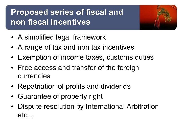 Proposed series of fiscal and non fiscal incentives • • A simplified legal framework