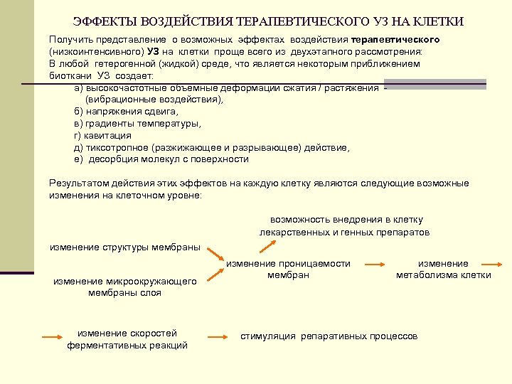 ЭФФЕКТЫ ВОЗДЕЙСТВИЯ ТЕРАПЕВТИЧЕСКОГО УЗ НА КЛЕТКИ Получить представление о возможных эффектах воздействия терапевтического (низкоинтенсивного)