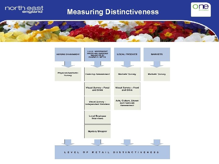 Measuring Distinctiveness 