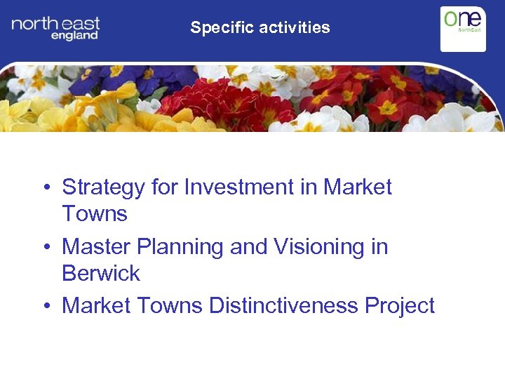 Specific activities • Strategy for Investment in Market Towns • Master Planning and Visioning