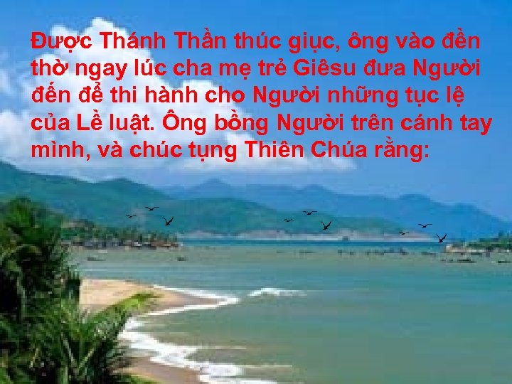 Được Thánh Thần thúc giục, ông vào đền thờ ngay lúc cha mẹ trẻ