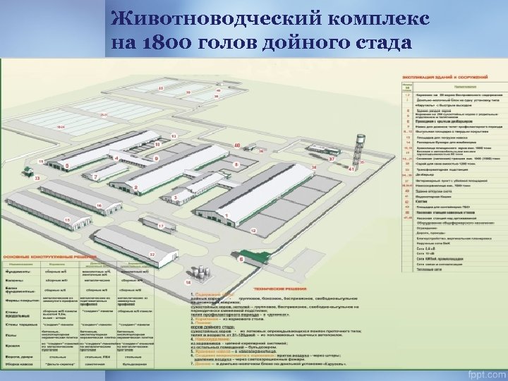 Генеральный план свиноводческого комплекса