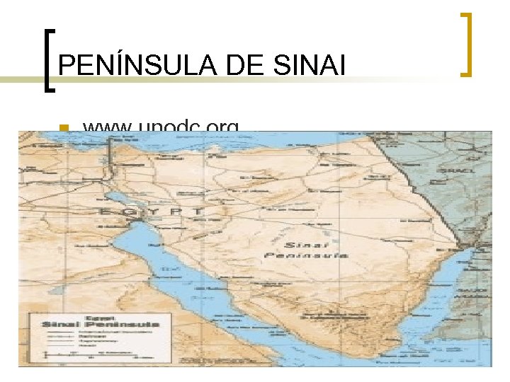 PENÍNSULA DE SINAI n www. unodc. org 