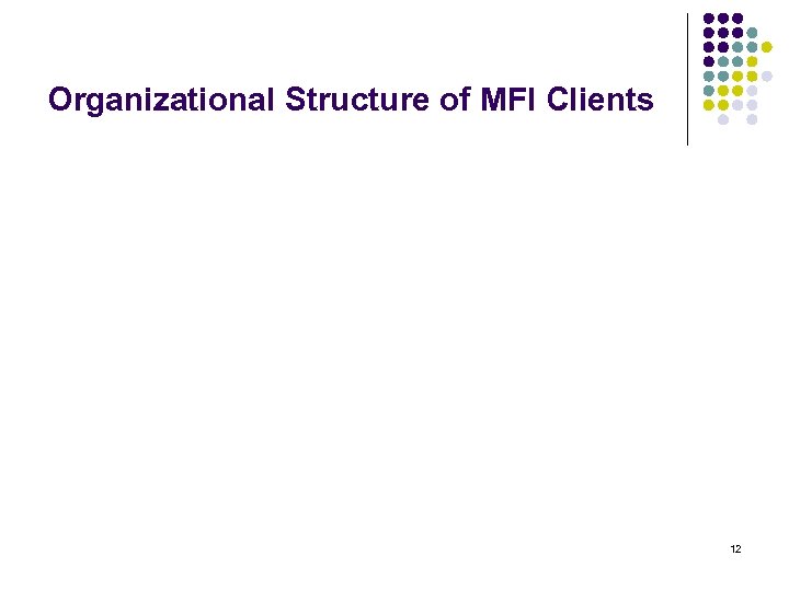 Organizational Structure of MFI Clients 12 