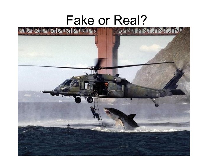 Fake or Real? 