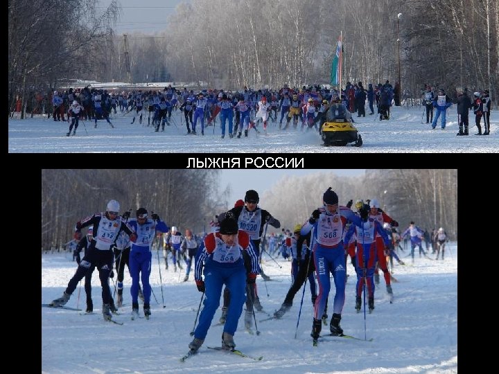 ЛЫЖНЯ РОССИИ 