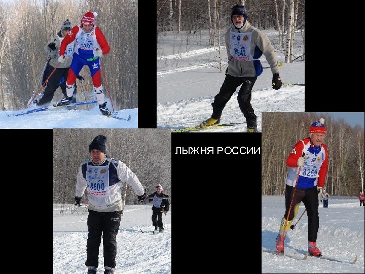 ЛЫЖНЯ РОССИИ 