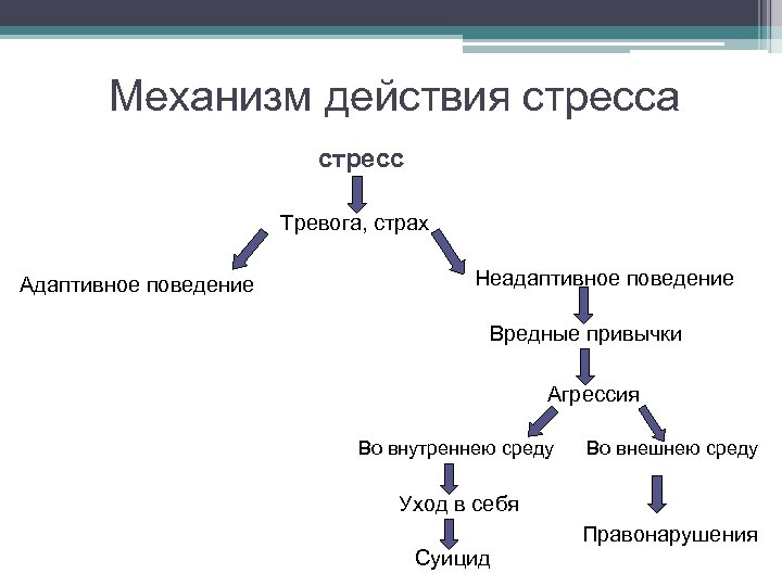 Механизм действия стресса стресс Тревога, страх Адаптивное поведение Неадаптивное поведение Вредные привычки Агрессия Во