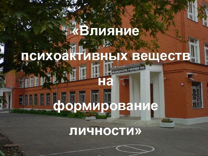  «Влияние психоактивных веществ на формирование личности» 