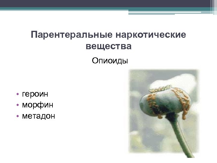 Парентеральные наркотические вещества Опиоиды • героин • морфин • метадон 