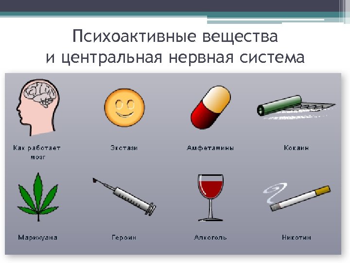 Психоактивные вещества и центральная нервная система 