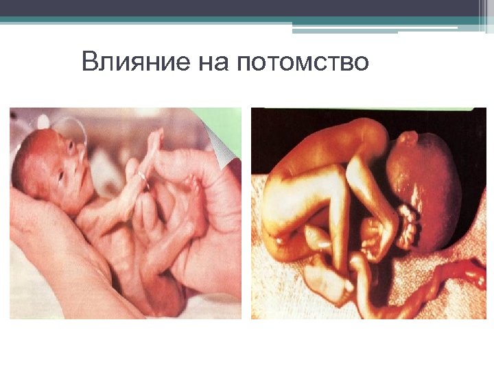 Влияние на потомство 