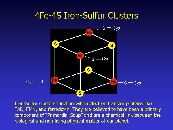 4 Fe-4 S Iron-Sulfur Clusters Fe S S Cys S Fe Fe S Cys