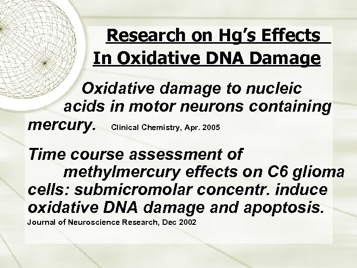 Research on Hg’s Effects In Oxidative DNA Damage Oxidative damage to nucleic acids in