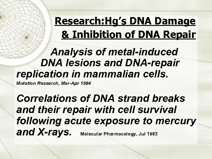 Research: Hg’s DNA Damage & Inhibition of DNA Repair Analysis of metal-induced DNA lesions