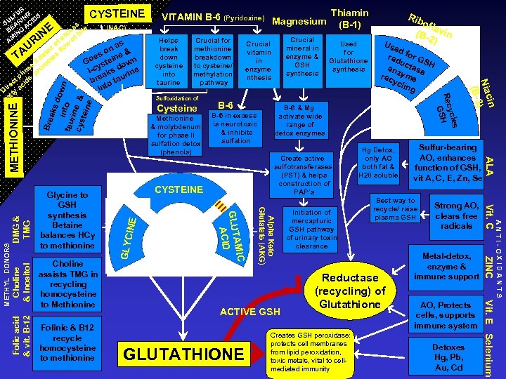 UR LF ING IDS SU AR AC BE NO I AM CYSTEINE Create active