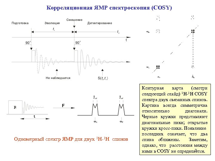 Корреляционная ЯМР спектроскопия (COSY) Одномерный спектр ЯМР для двух 1 H-1 H спинов Контурная