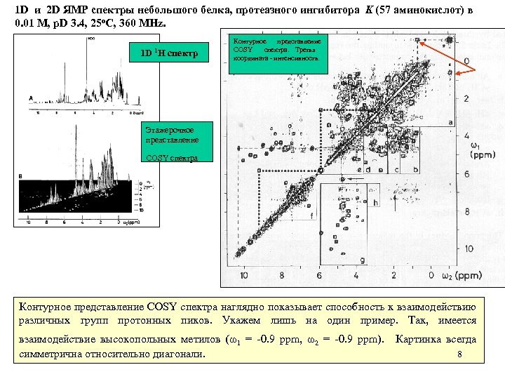 1 D и 2 D ЯМР спектры небольшого белка, протеазного ингибитора K (57 аминокислот)