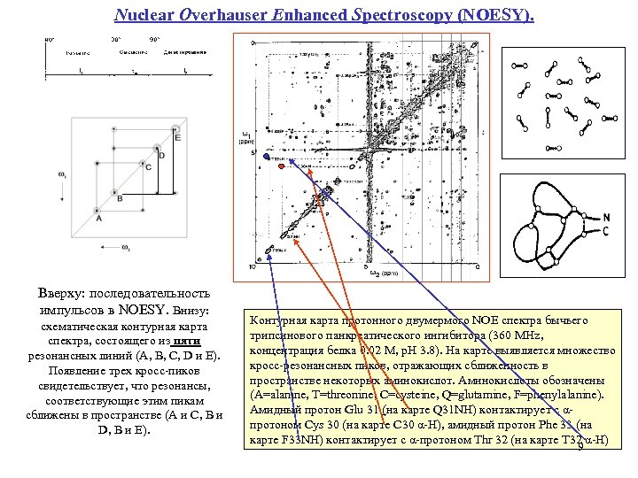 Nuclear Overhauser Enhanced Spectroscopy (NOESY). Вверху: последовательность импульсов в NOESY. Внизу: схематическая контурная карта