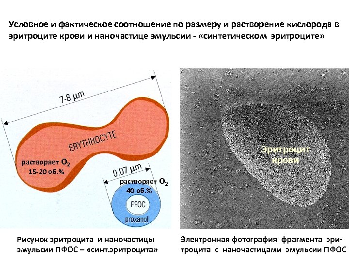 Условное и фактическое соотношение по размеру и растворение кислорода в эритроците крови и наночастице