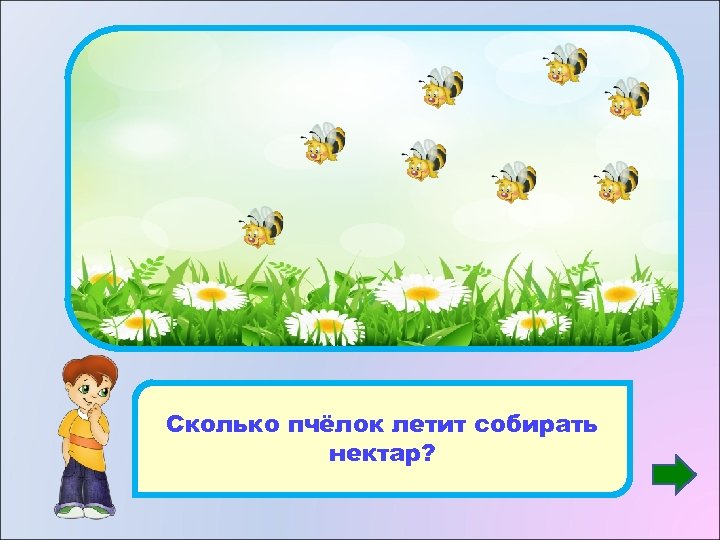 8 Сколько пчёлок летит собирать нектар? 