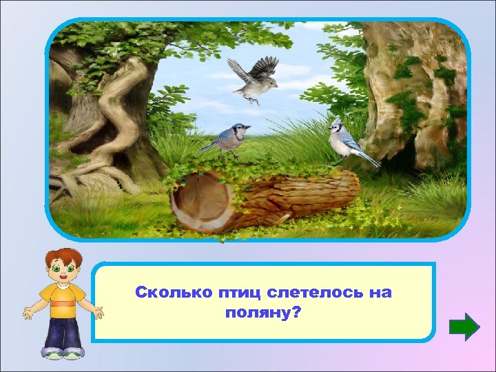 3 Сколько птиц слетелось на поляну? 