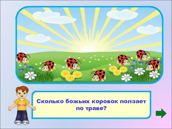 7 Сколько божьих коровок ползает по траве? 