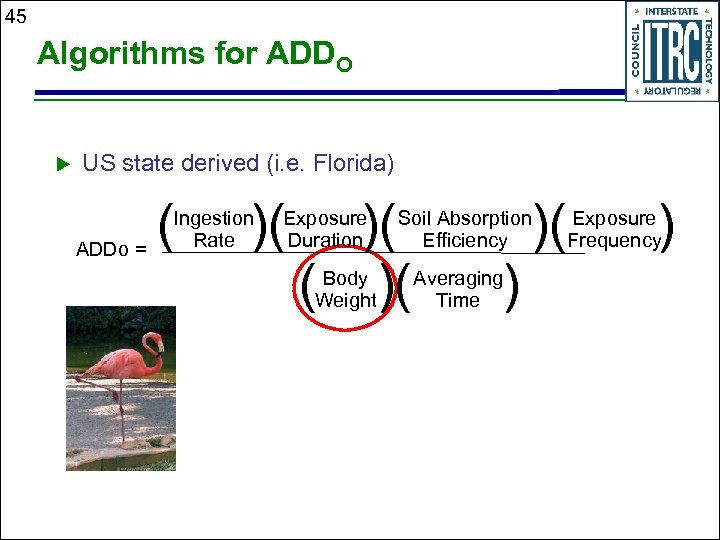 45 Algorithms for ADDO u US state derived (i. e. Florida) ADDo = (