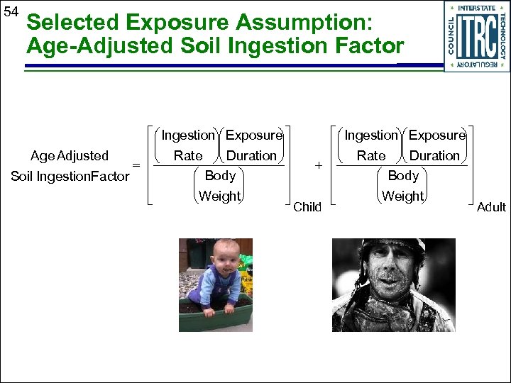 54 Selected Exposure Assumption: Age-Adjusted Soil Ingestion Factor é æ Ingestionöæ Exposure ù ö