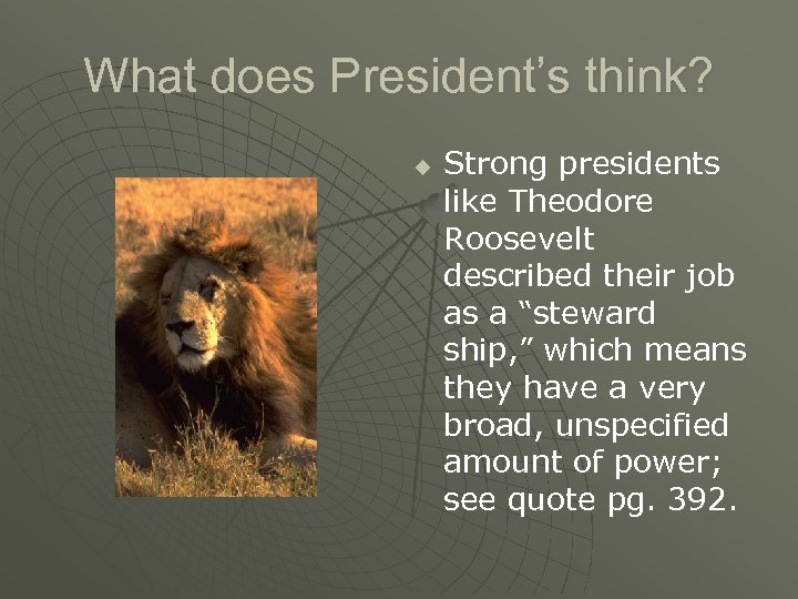 What does President’s think? u Strong presidents like Theodore Roosevelt described their job as