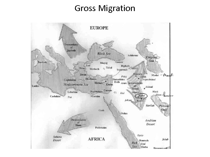 Gross Migration 